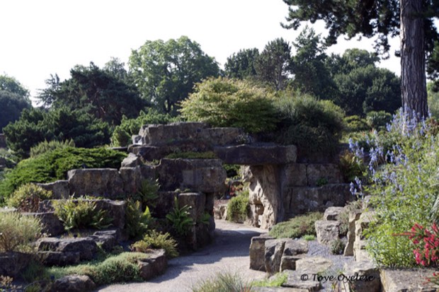 Yew Garden
