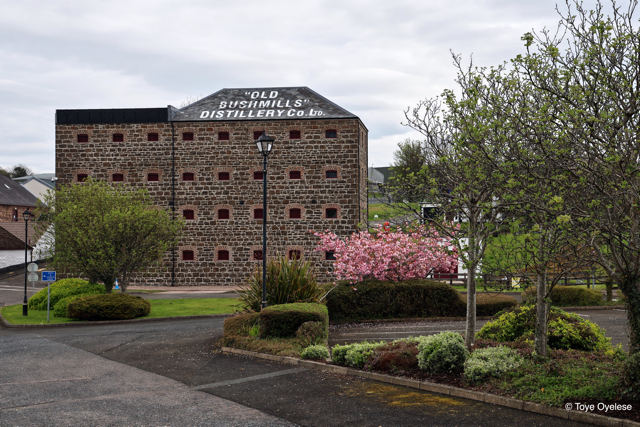 Bushmills Distillery