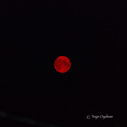 Full Red Moon - Kelowna Fires
