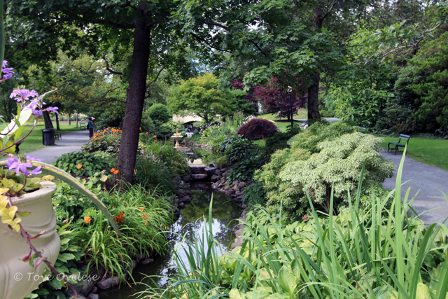 Halifax Garden Nova Scotia