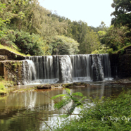 Stone Dam - Kauai