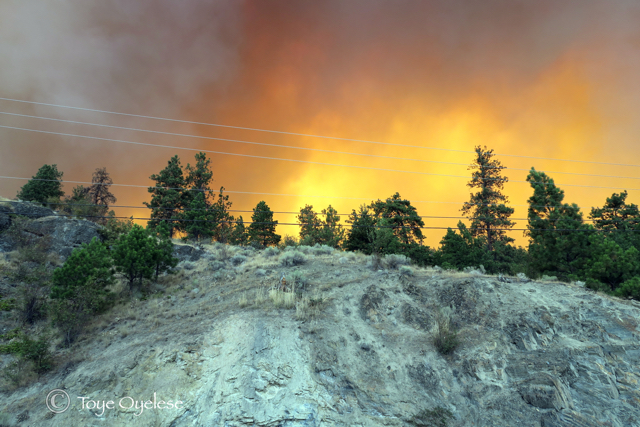 McDougall Creek Fire