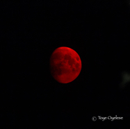 Red Moon - Kelowna Fires